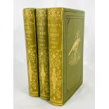 Beautiful Birds in three volumes