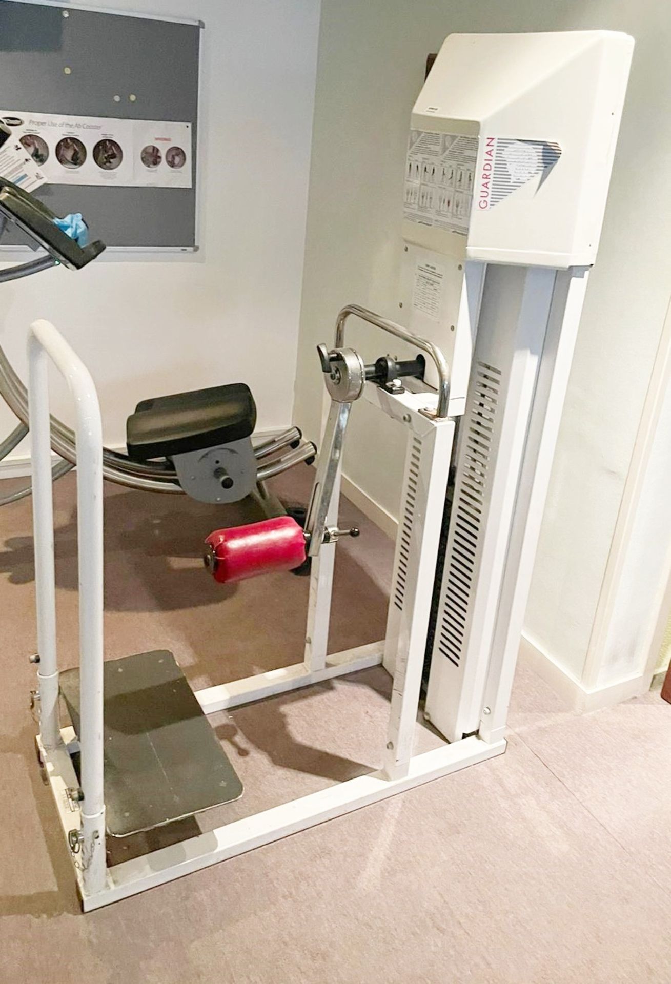 1 x Guardian Rotary Hip Machine