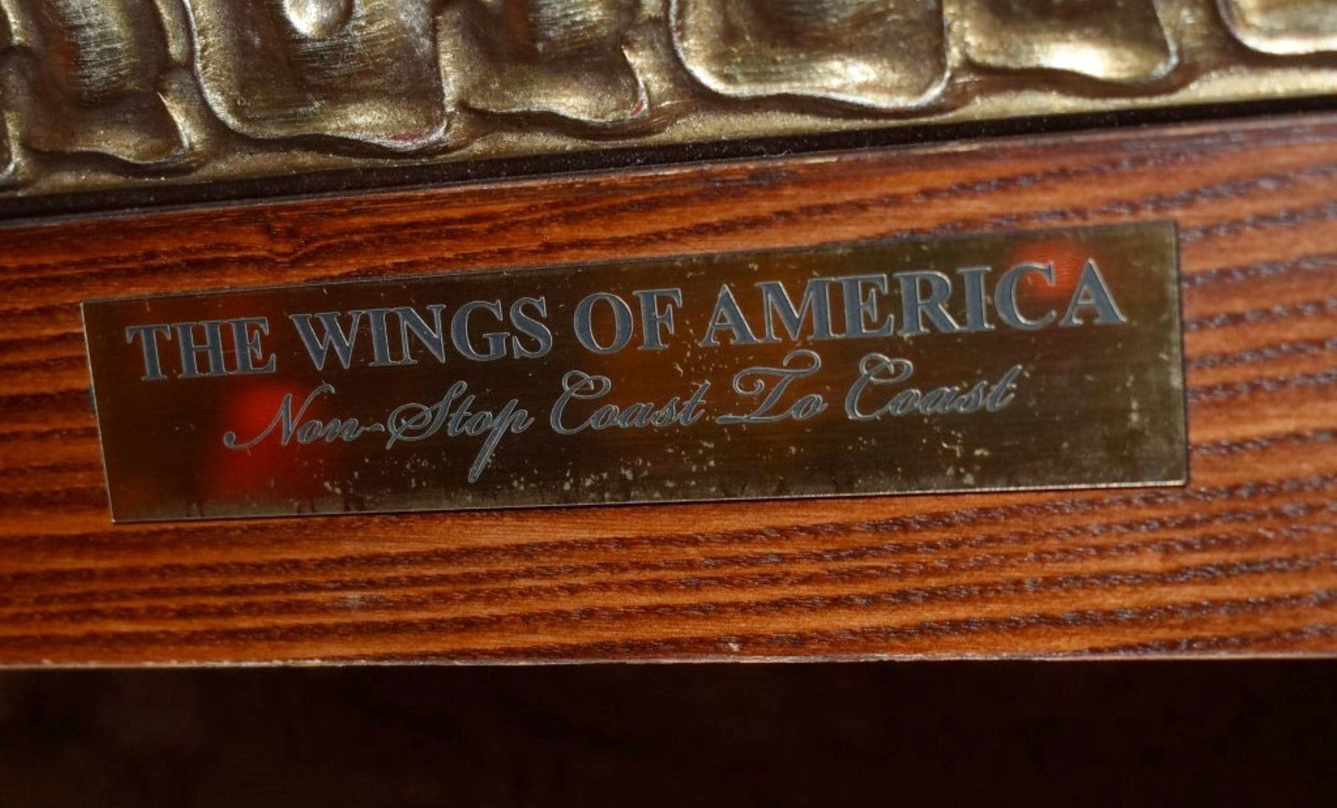 1 x Americana Wall Mounted Illuminated Display Case THE WINGS OF AMERICA American Themed Showcase - Image 8 of 8