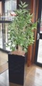 1 x Black Gloss Planter With Artificial Plant - Overall Height Approx 6ft