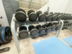 Full Set of 24 x Technogym Dumbbell Weights With Two Racks - Commercial Gym Equipment - Approx