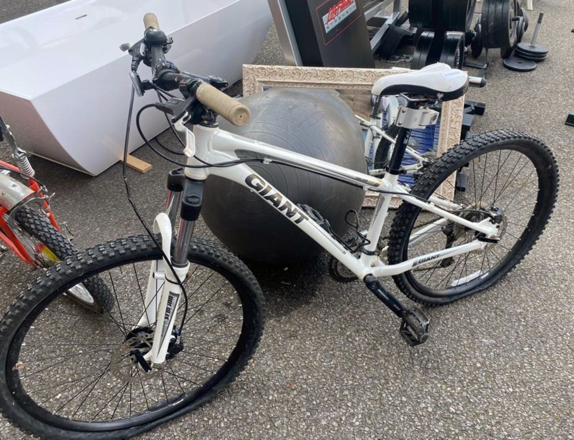 1 x Giant Talon W2 Mountain Bike in White - Small Adult Size