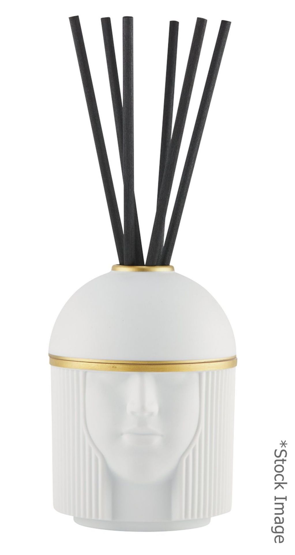 1 x GINORI 1735 'Gin L Amazzone Black Stone' Diffuser - 300ml - Original Price £345 *Read Condition*