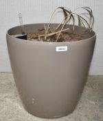 1 x Lechuza Indoor / Outdoor Planter With Gloss Finish - Size: H50 x D47 cms