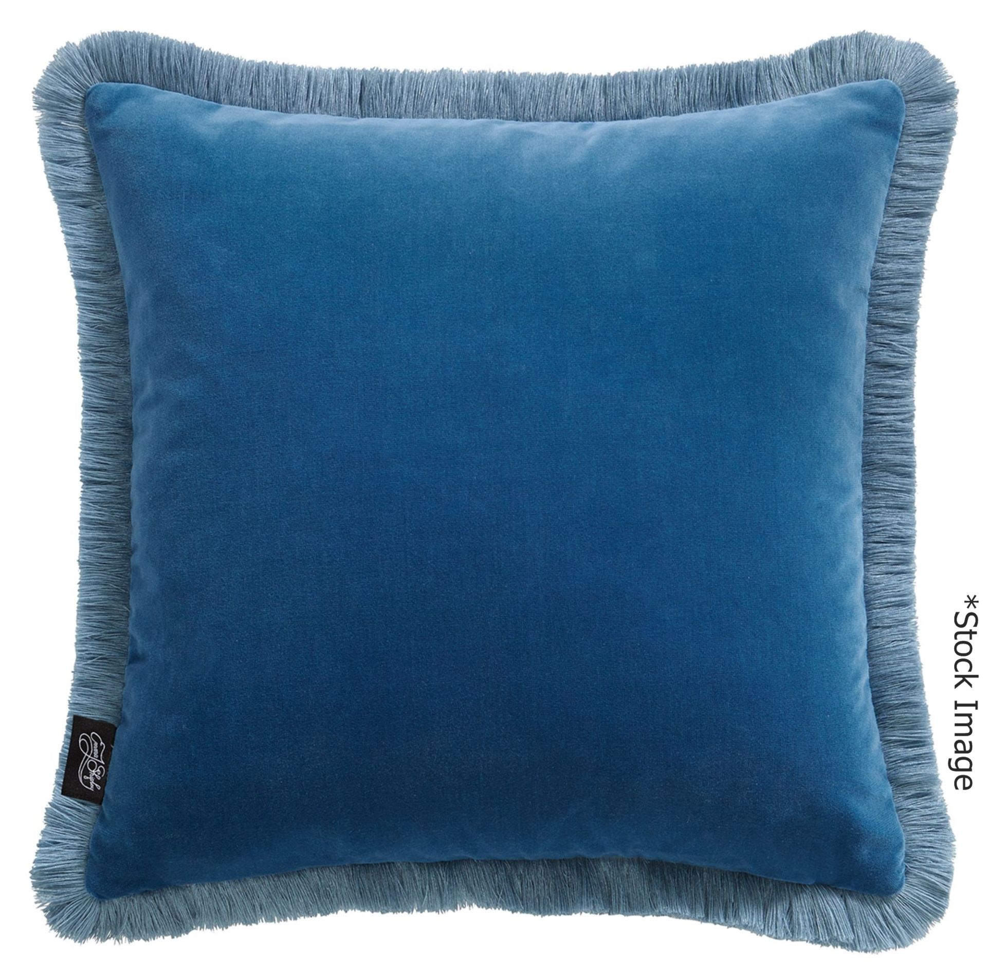 1 x EMMA J SHIPLEY 'Lost World' Square Designer Cushion (43cm x 43cm) - Original Price £75.00 - Image 7 of 8