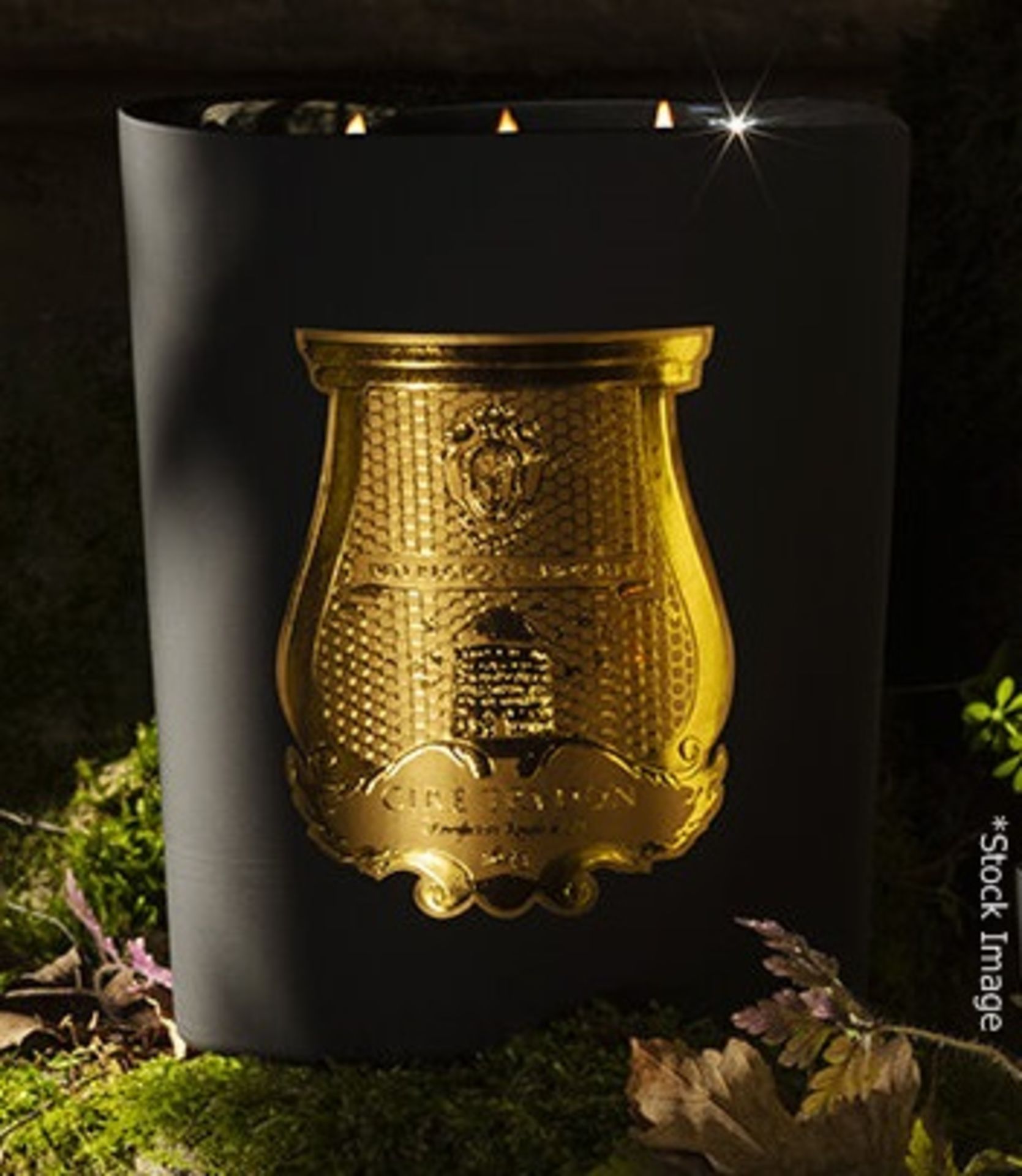 1 x CIRE TRUDON Limited Edition 'Mary' Great Candle (2.8kg) - Original Price £495.00 - Unused