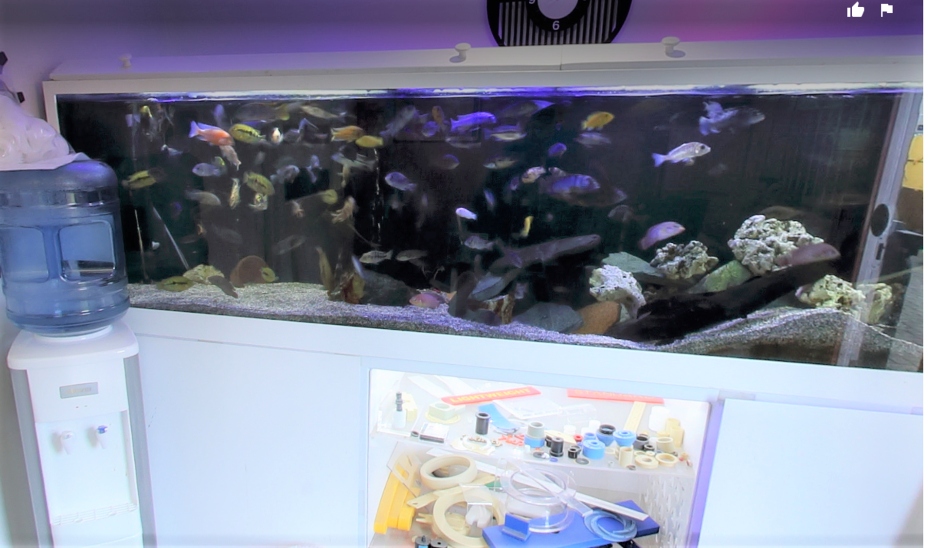 1 x Large Fish Tank With Stand - Approx 8ft Long - Fish Not Included - Image 2 of 3