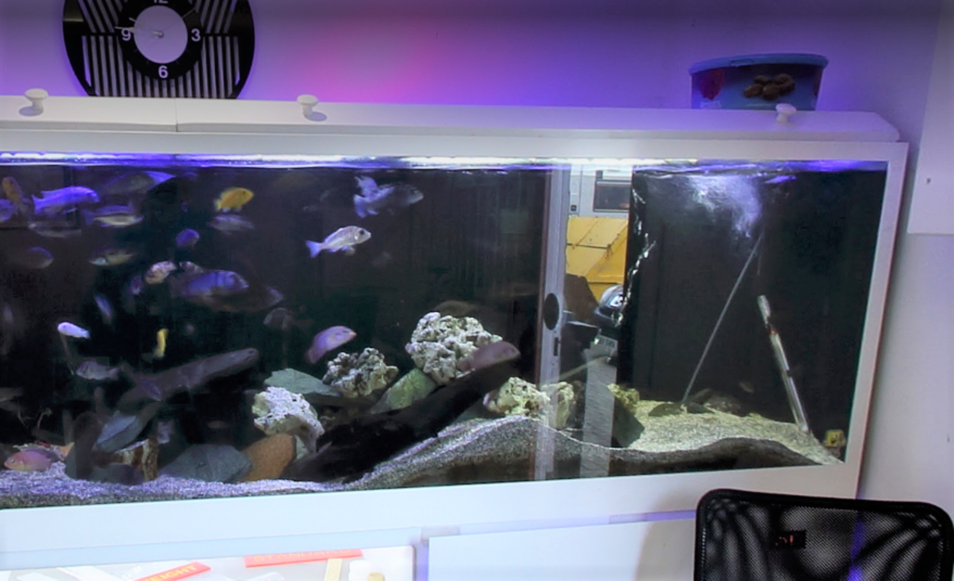 1 x Large Fish Tank With Stand - Approx 8ft Long - Fish Not Included - Image 3 of 3