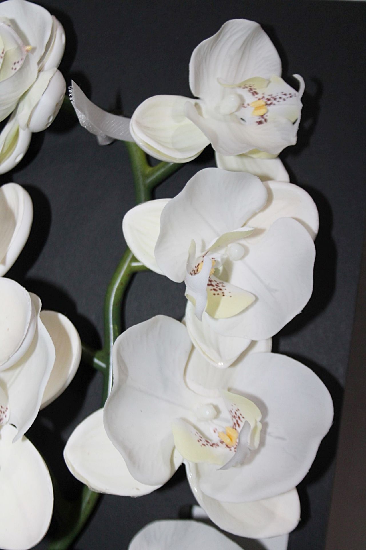 1 x SENTI 'White Flowers' Orchid Luxury Italian Glass Diffuser (250ml) - Original Price £175.00 - Image 4 of 6