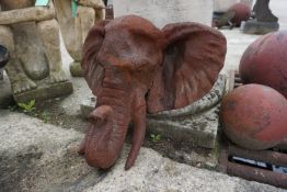 Elephant head in cast iron H45x50