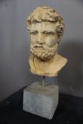 Bust on base in stone H62