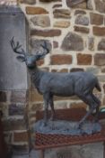 Deer in Zamac / bronze H64x63