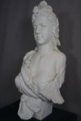 Bust in plaster H105x50