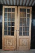 Double door with glass H243x159