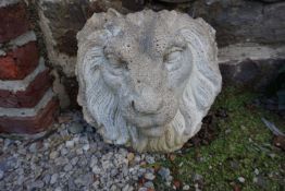 Lionhead in stone H25x25