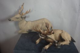 Couple deer in wood H48 / 60