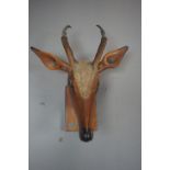 Deer head in wood H40