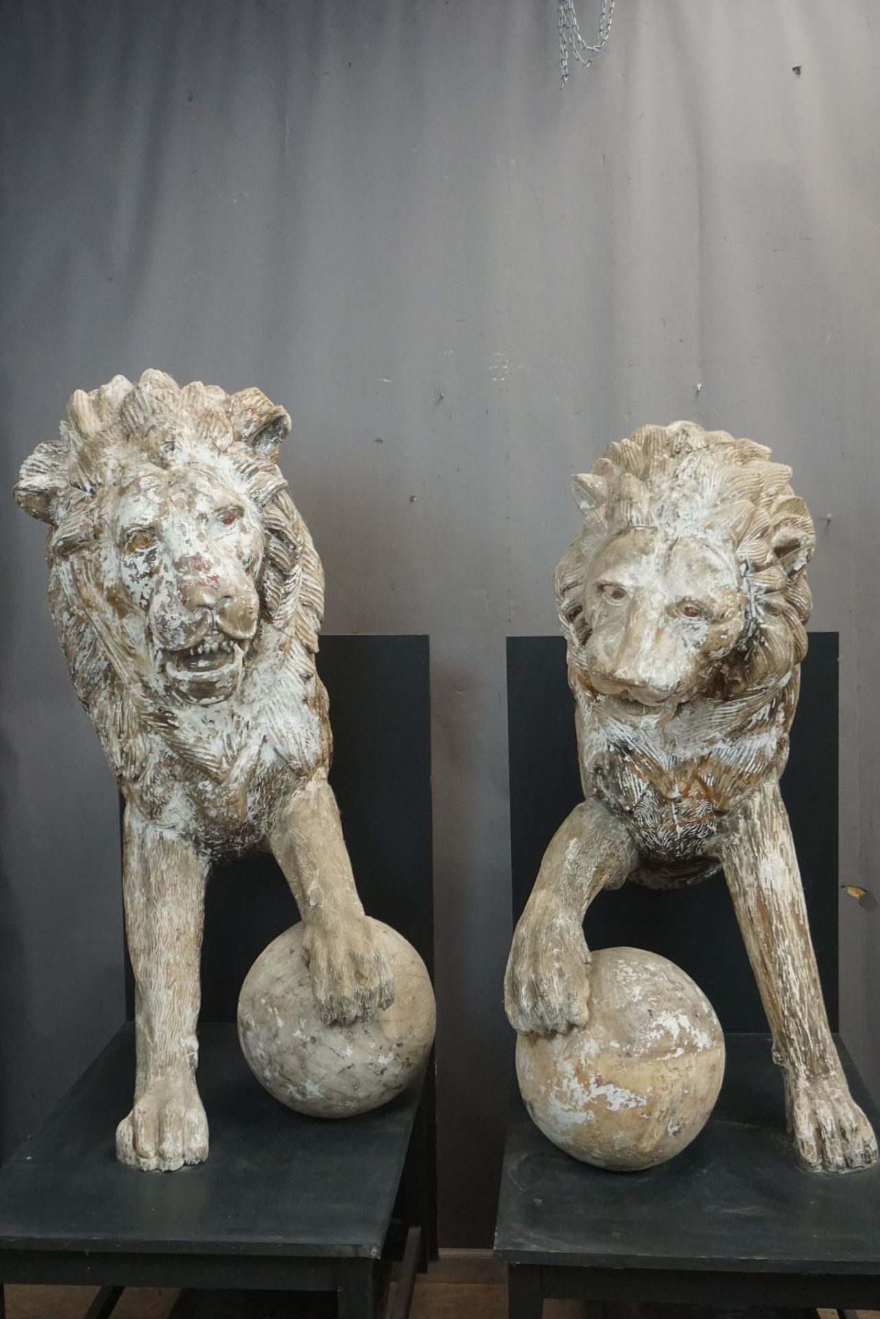 Paire of lions in wood, architectural 17th? (Amsterdam) H165x65x92