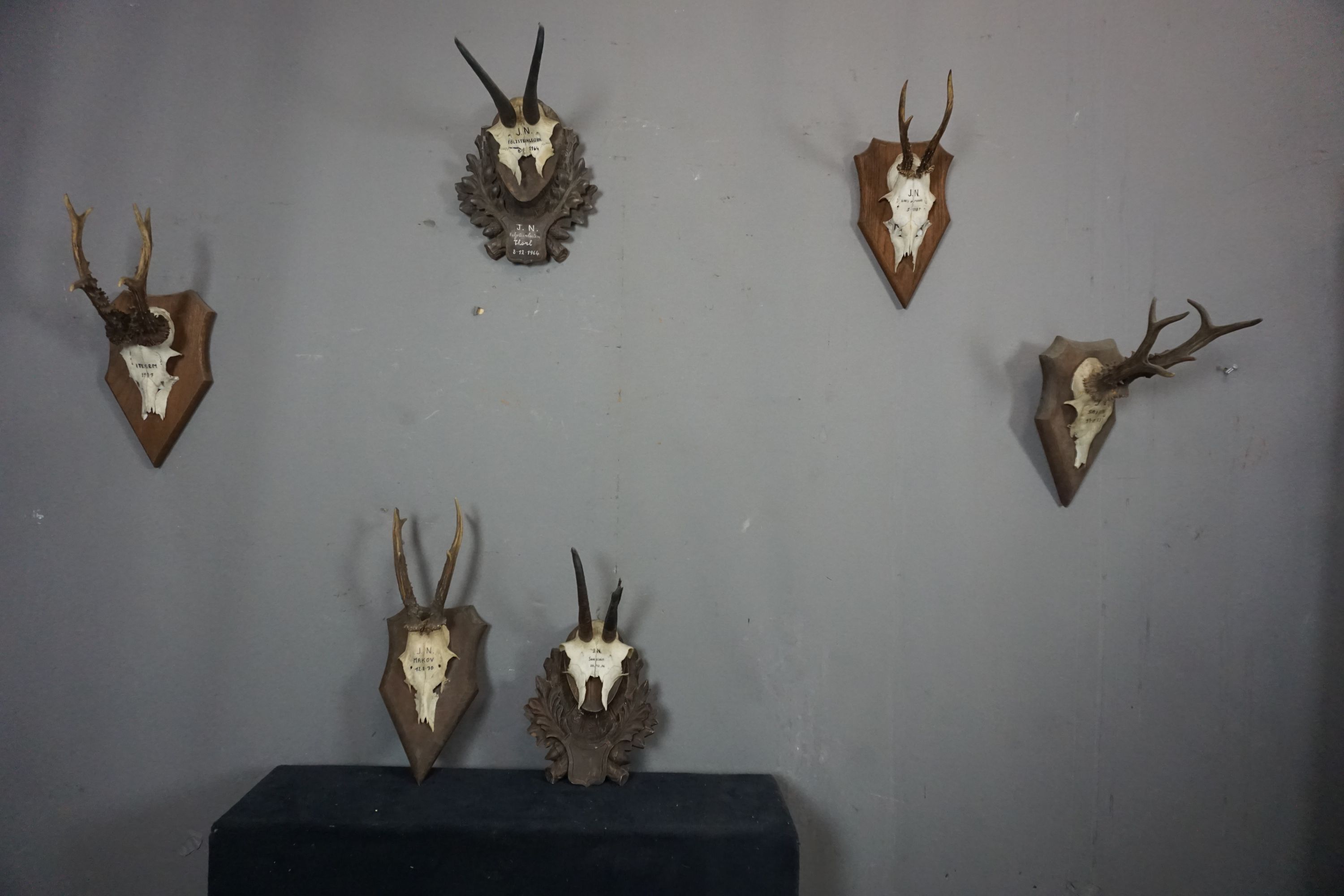 Series (6) Antlers - Image 2 of 2