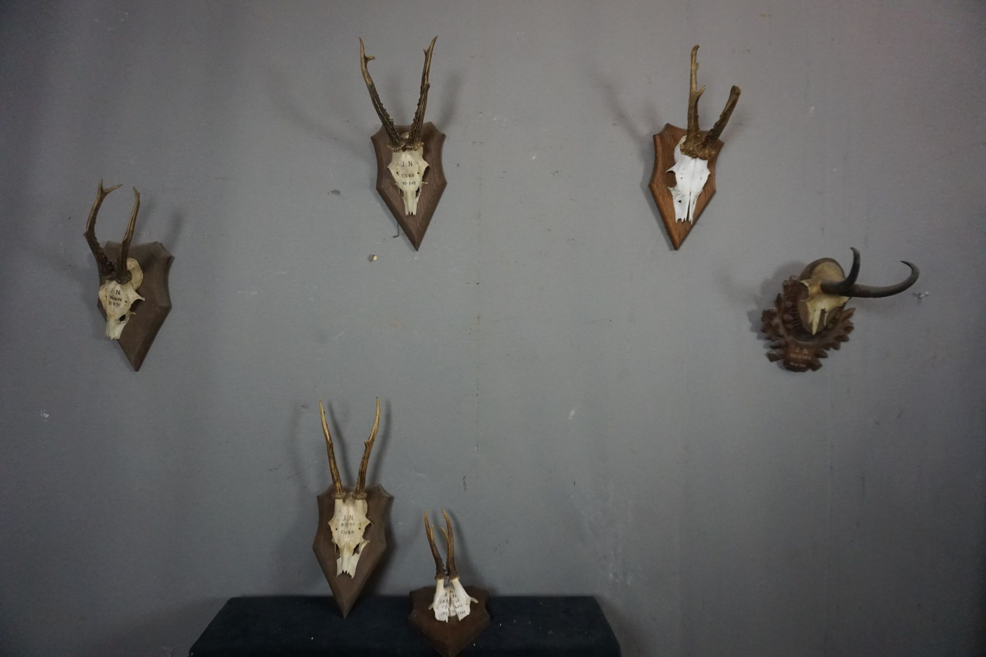 Series (6) Antlers - Image 2 of 2