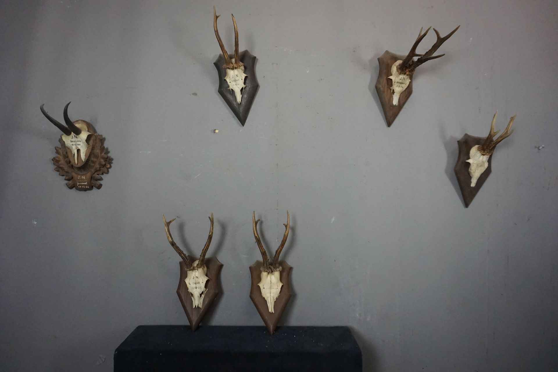 Series (6) Antlers - Image 2 of 2