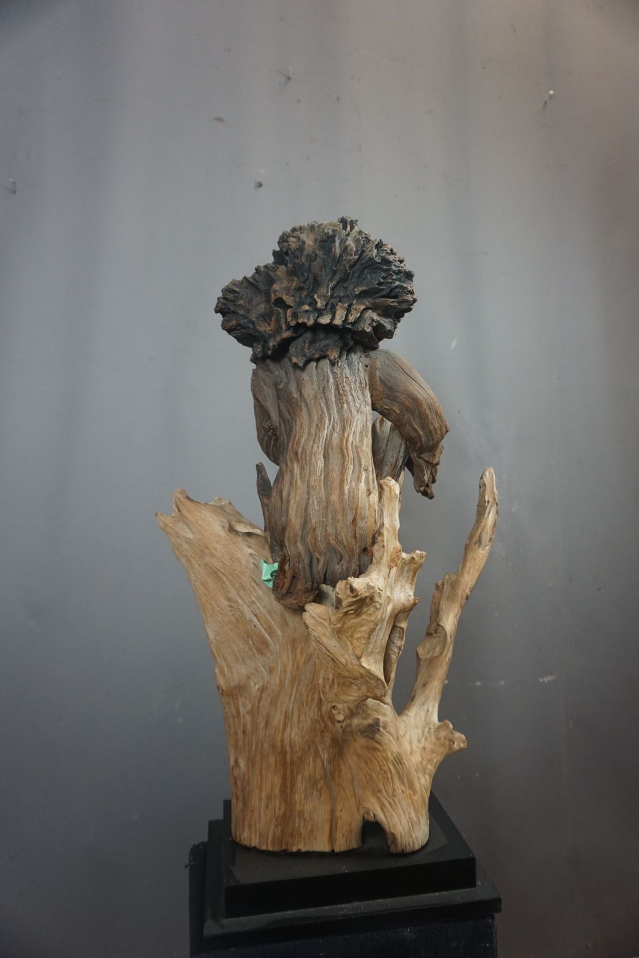 Decorative sculpture from root wood H70x40x35 - Image 3 of 4