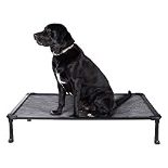 RRP £65.99 Veehoo Chew Proof Elevated Dog Bed