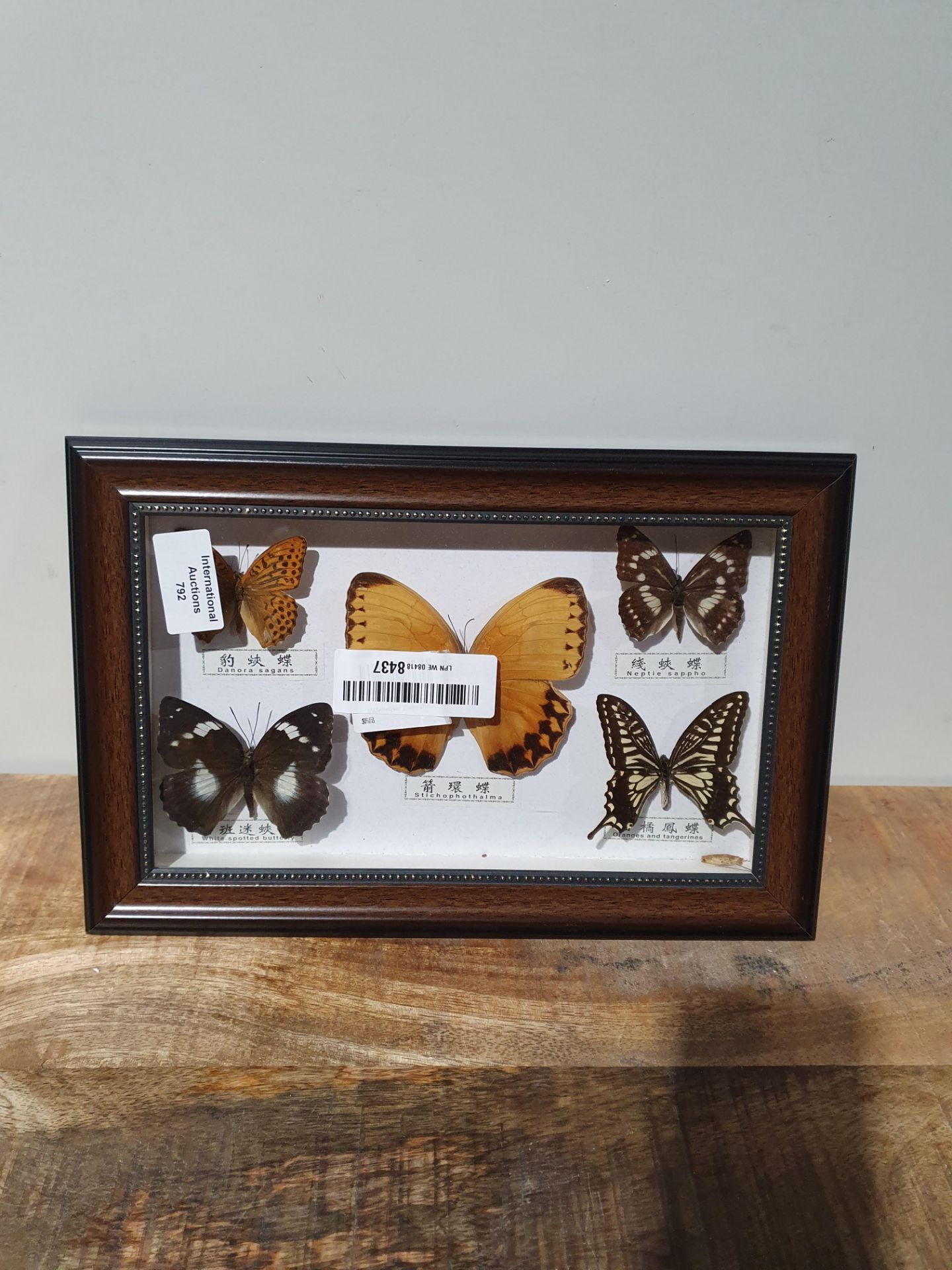 BUTTERFLYS FRAMEDCondition ReportAppraisal Available on Request - All Items are Unchecked/Untested