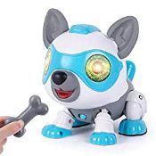 RRP £19.98 Eutionho DIY Robot Dog