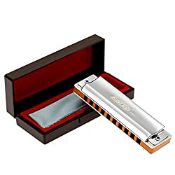 RRP £33.12 East top 10 Holes Professional Diatonic Blues Harmonica