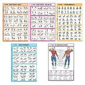 RRP £16.99 SPORTAXIS No-Equipment Laminated Home Workout Posters
