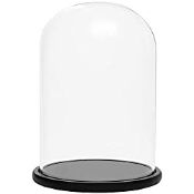 RRP £47.46 Belle Vous Glass Dome Cloche Bell Jar with Black Wooden Base