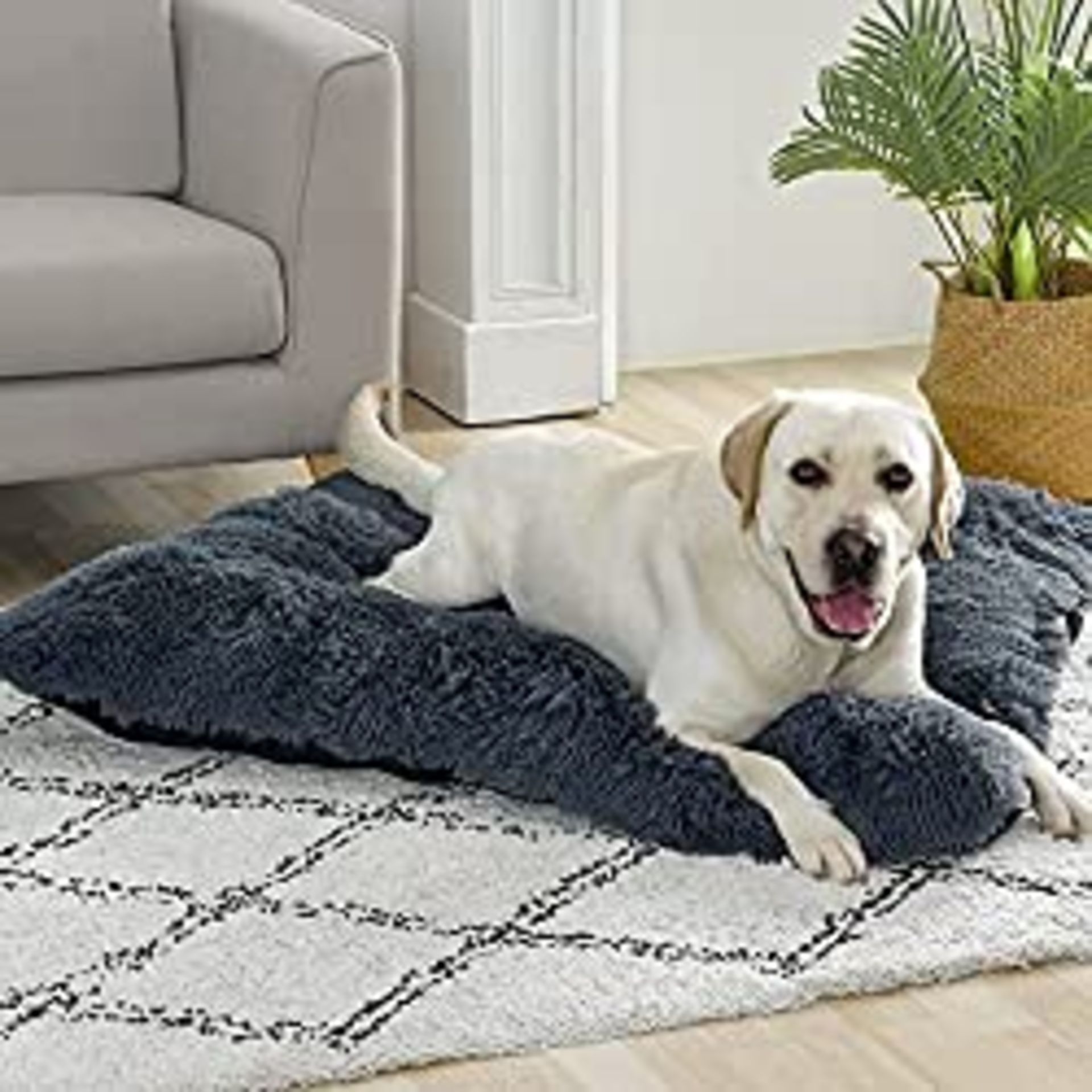 RRP £29.99 Dog Beds Large Washable Big Dog Cushion Bed Plush Pet