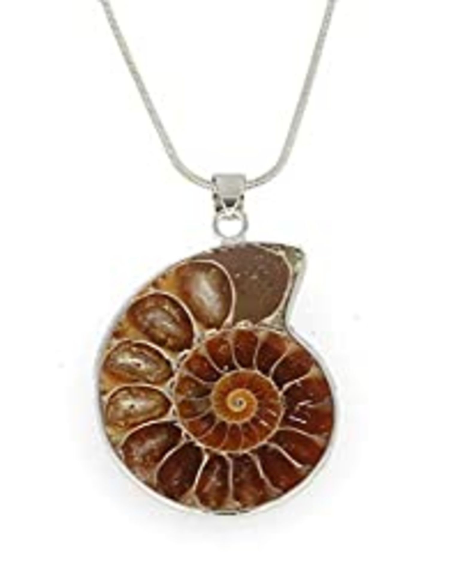 RRP £25.80 Serafino Ammonite Necklace Pendant Gift Box Healing