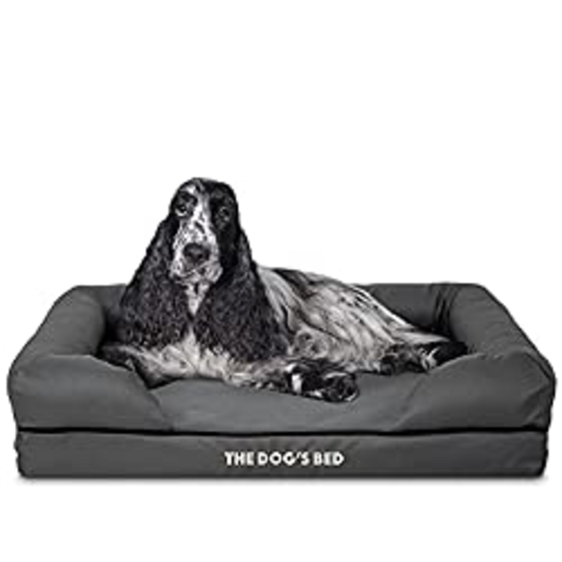 RRP £59.99 The Dog s Bed