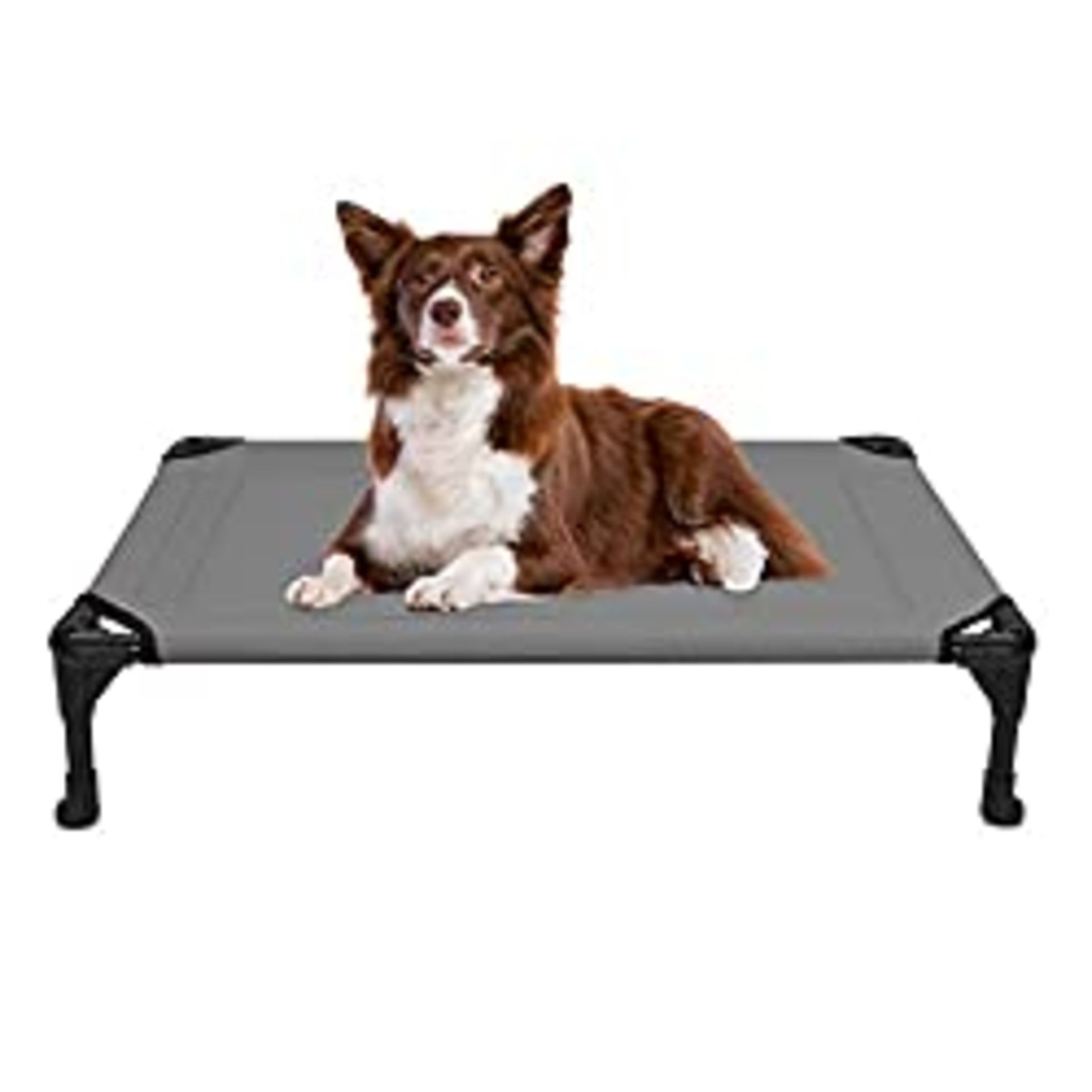 RRP £35.99 Veehoo Cooling Elevated Dog Bed