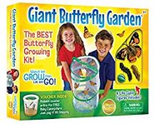 RRP £22.99 Insect Lore Giant Butterfly Garden Kit (Packaging May Vary)