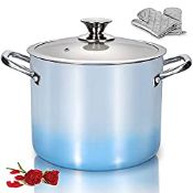 RRP £39.96 LovoIn 6.6L Stock Pot with Lid