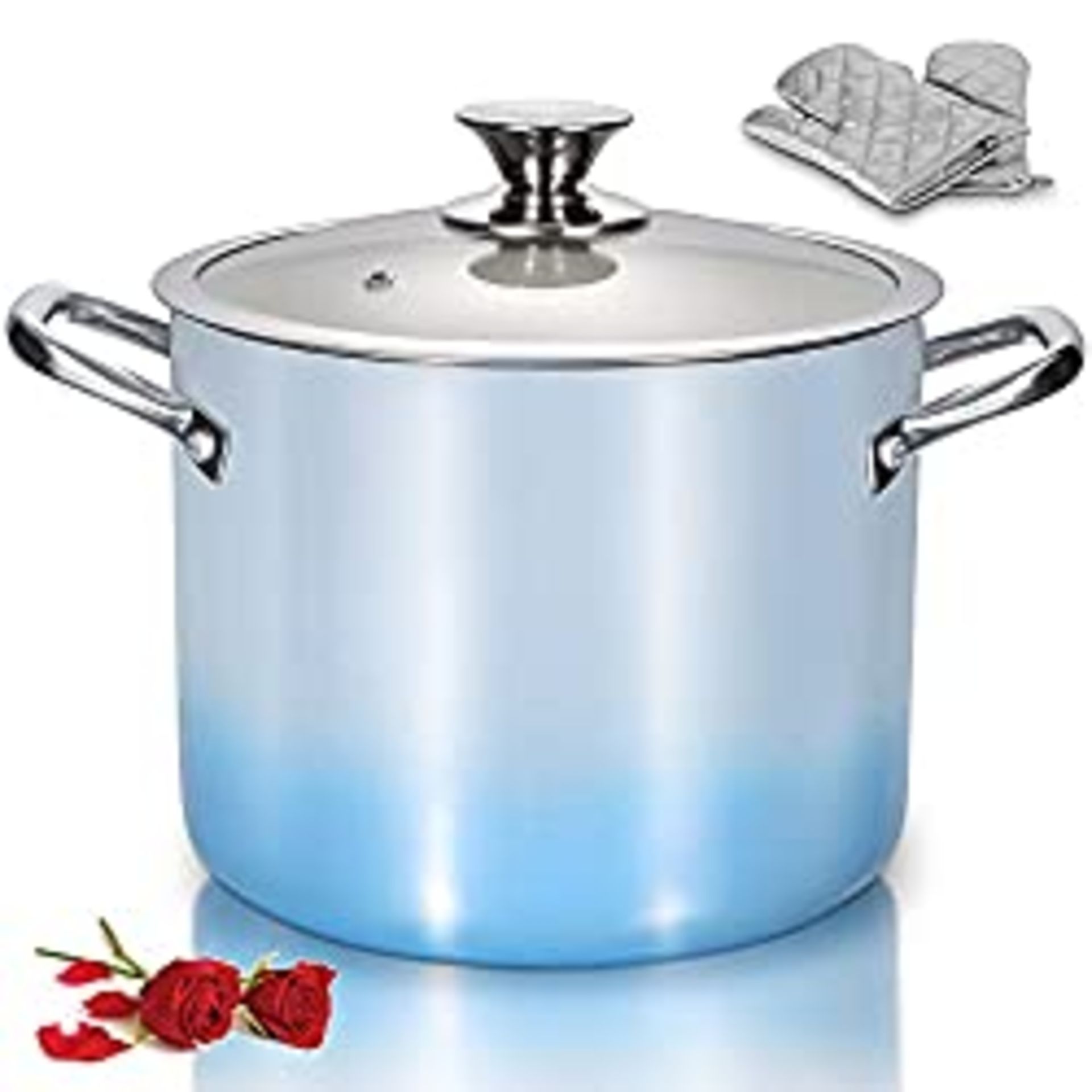 RRP £39.96 LovoIn 6.6L Stock Pot with Lid