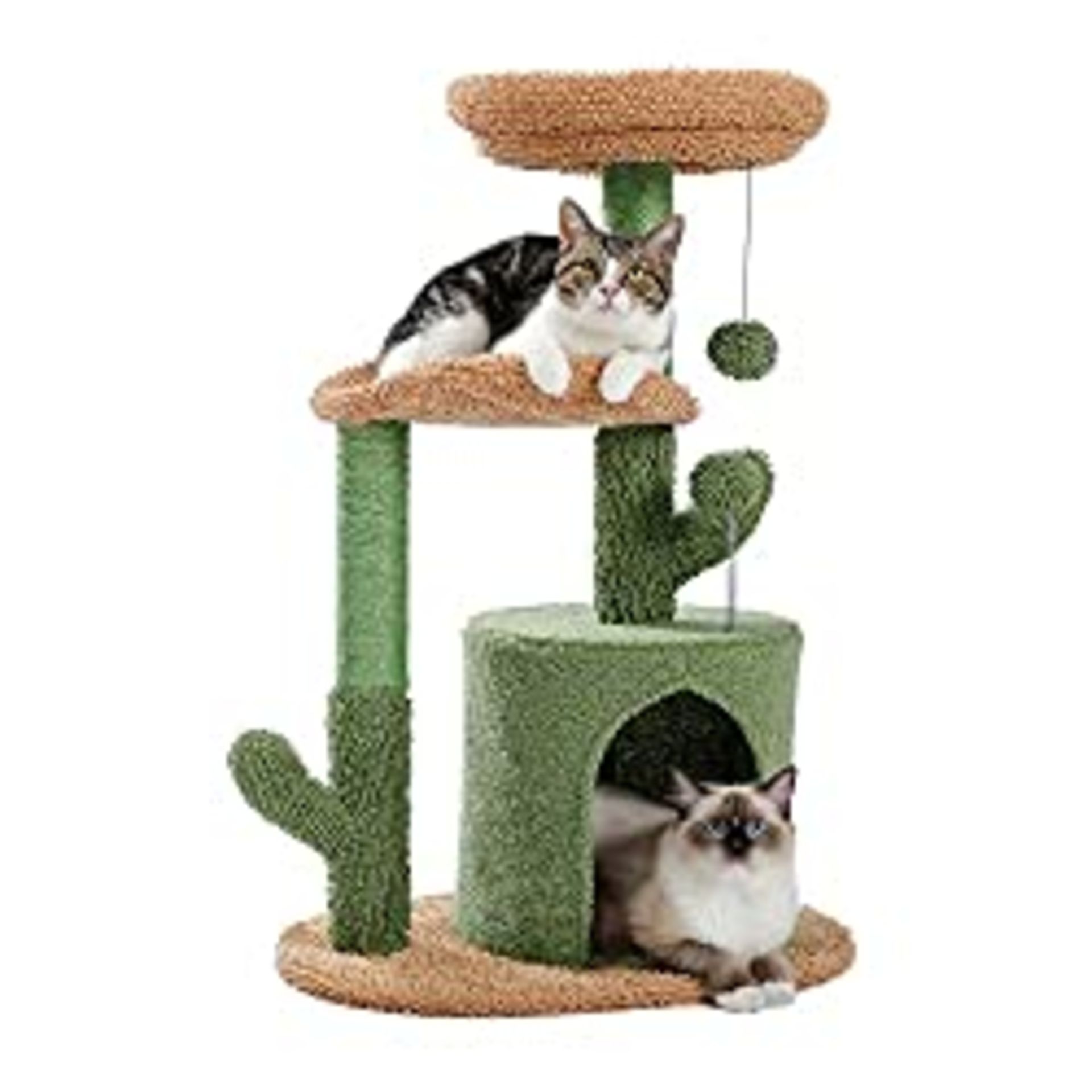 RRP £46.74 Amazon Brand Umi Cactus Cat Tree Modern Cactus