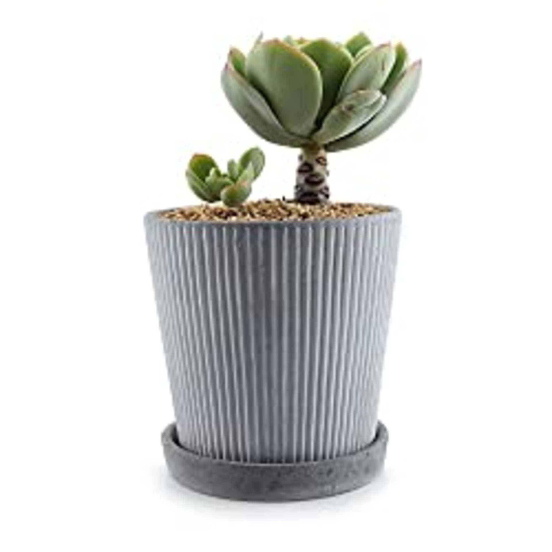 RRP £14.99 T4U 13CM Cement Succulent Plant Pot Cactus Planter