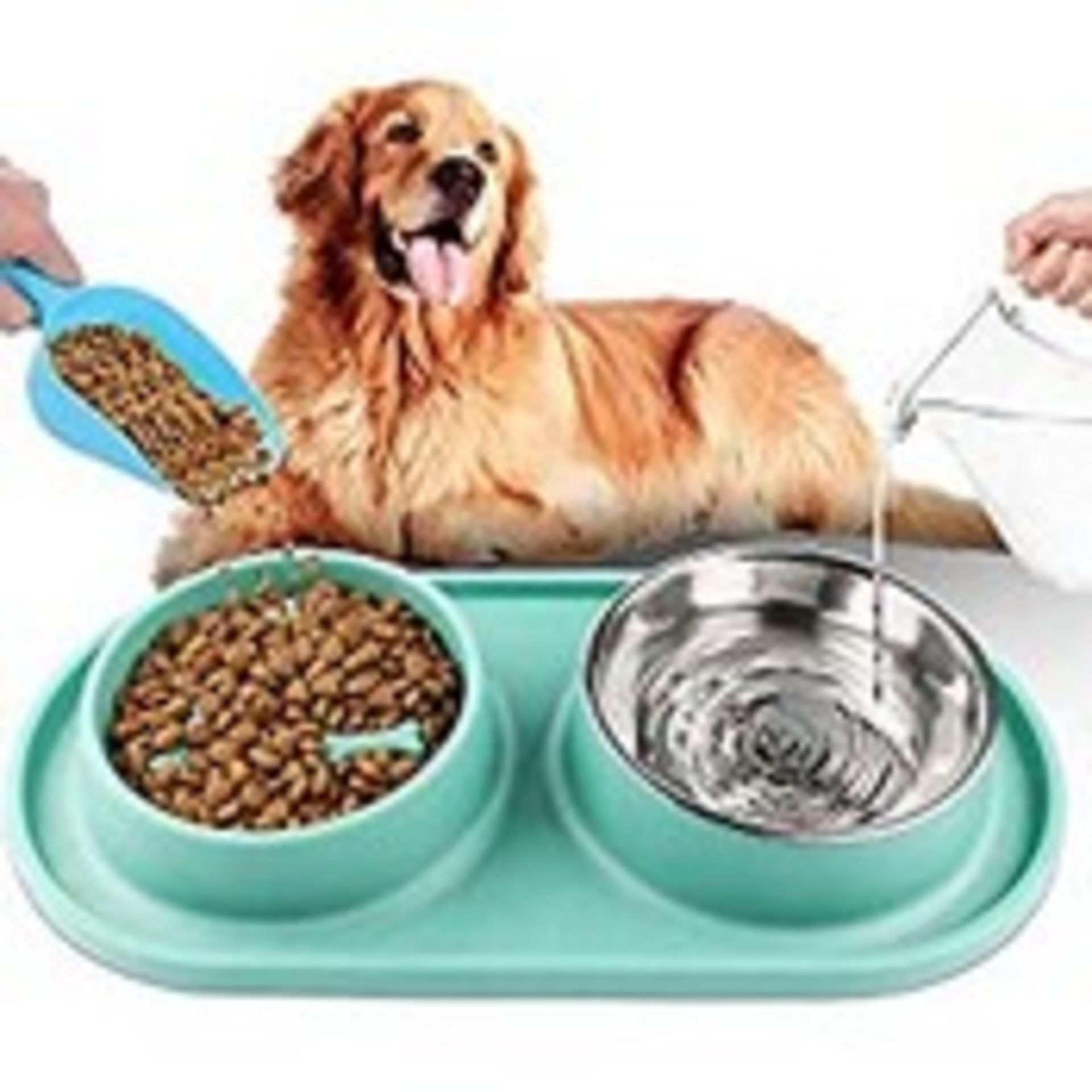 RRP £8.99 Slow Feeder Pet Bowl