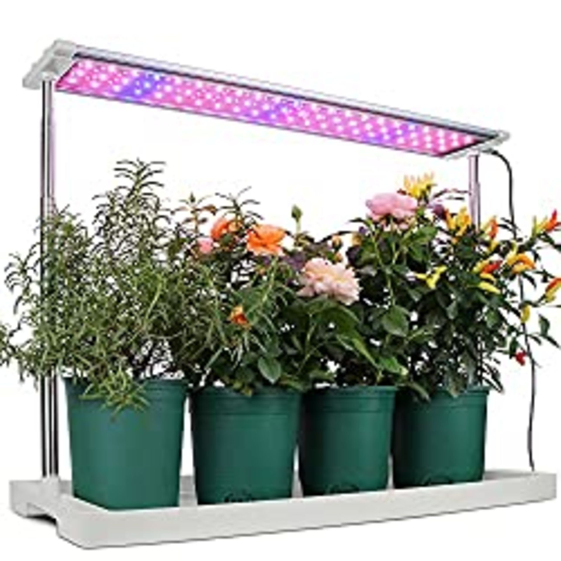 RRP £16.80 Moistenland 48W LED Grow Light Panel