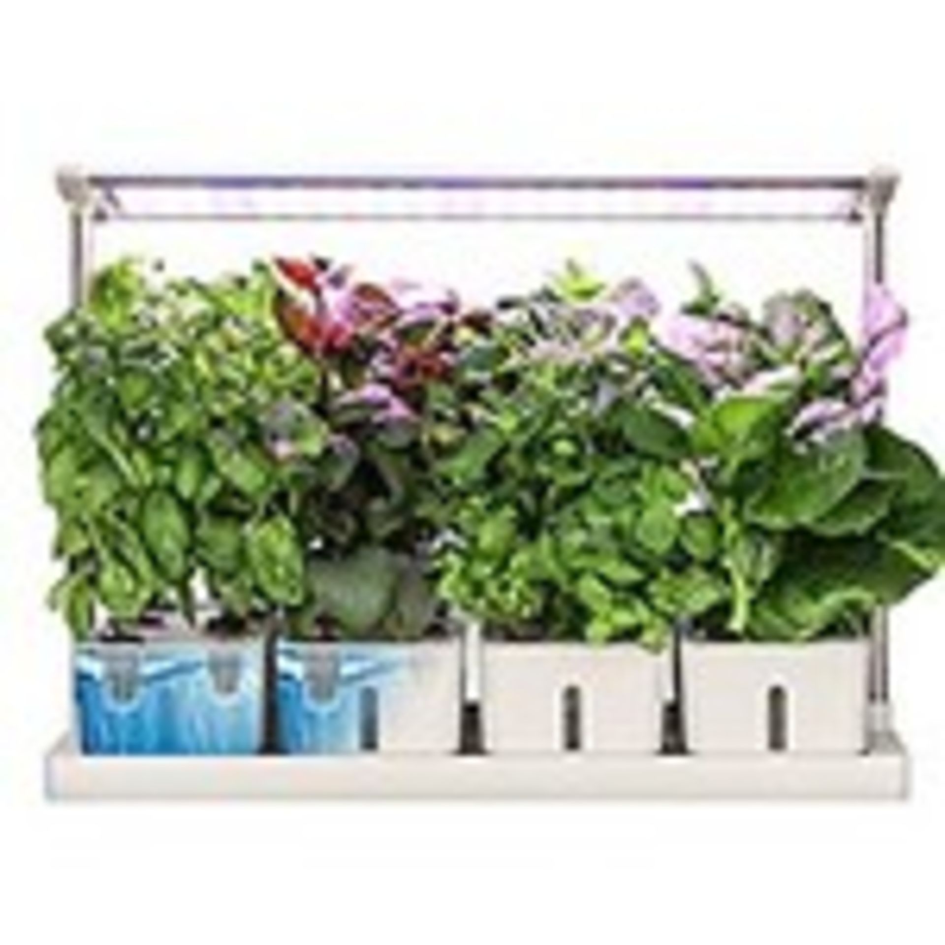 RRP £155.00 Moistenland 20 Pods Hydroponics Growing System