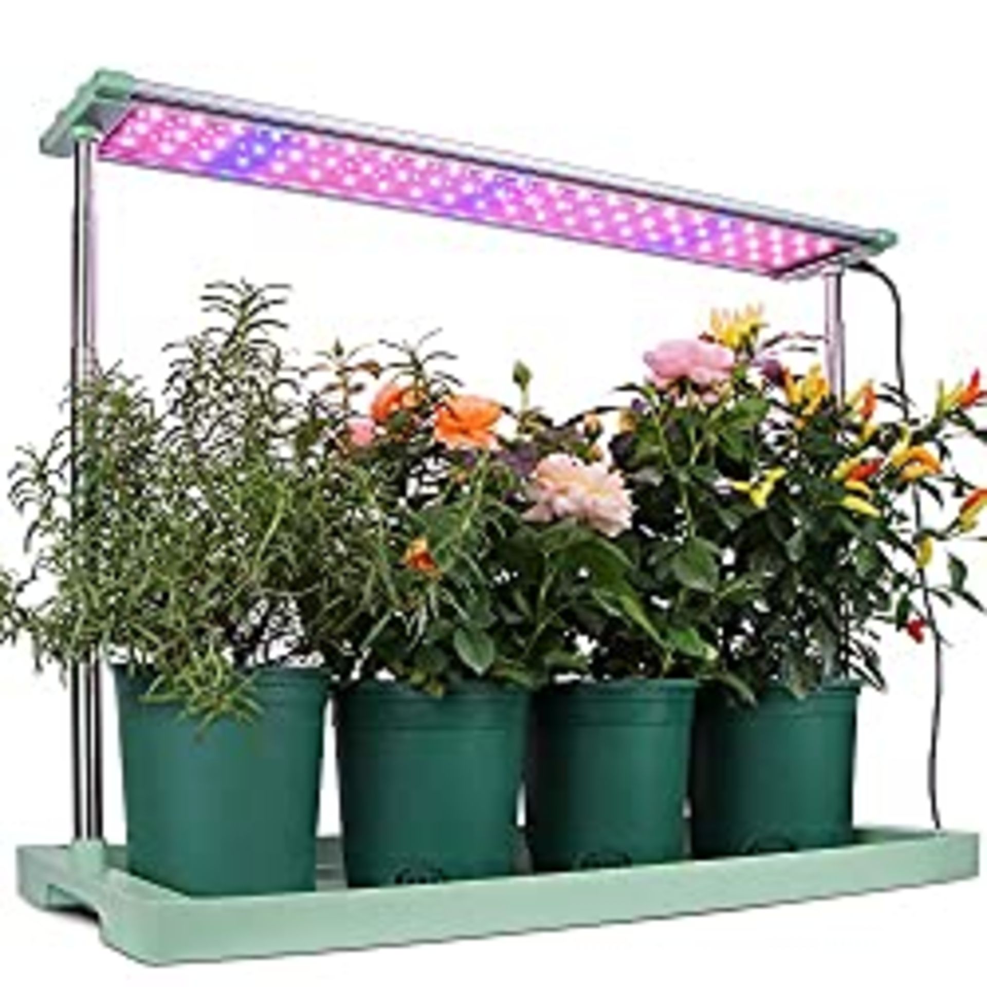 RRP £127.00 Moistenland 48W LED Grow Light Panel