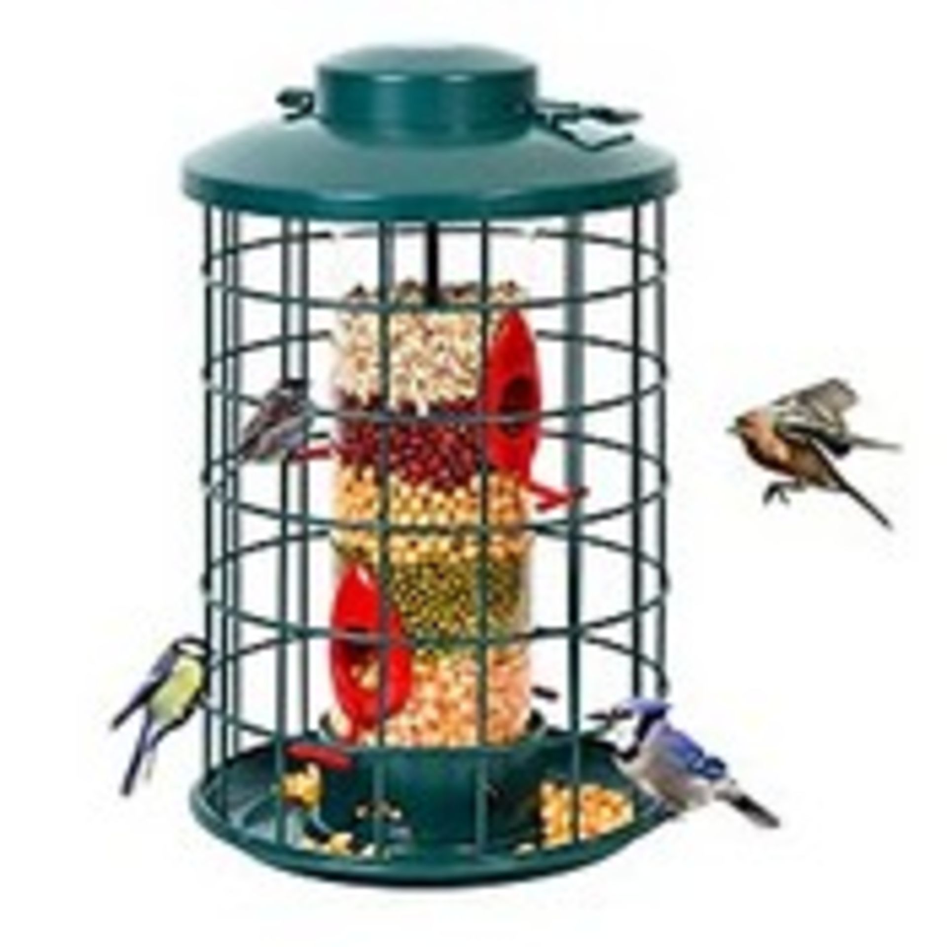 RRP £32.88 Caged Bird Feeder for Wild Birds Outside