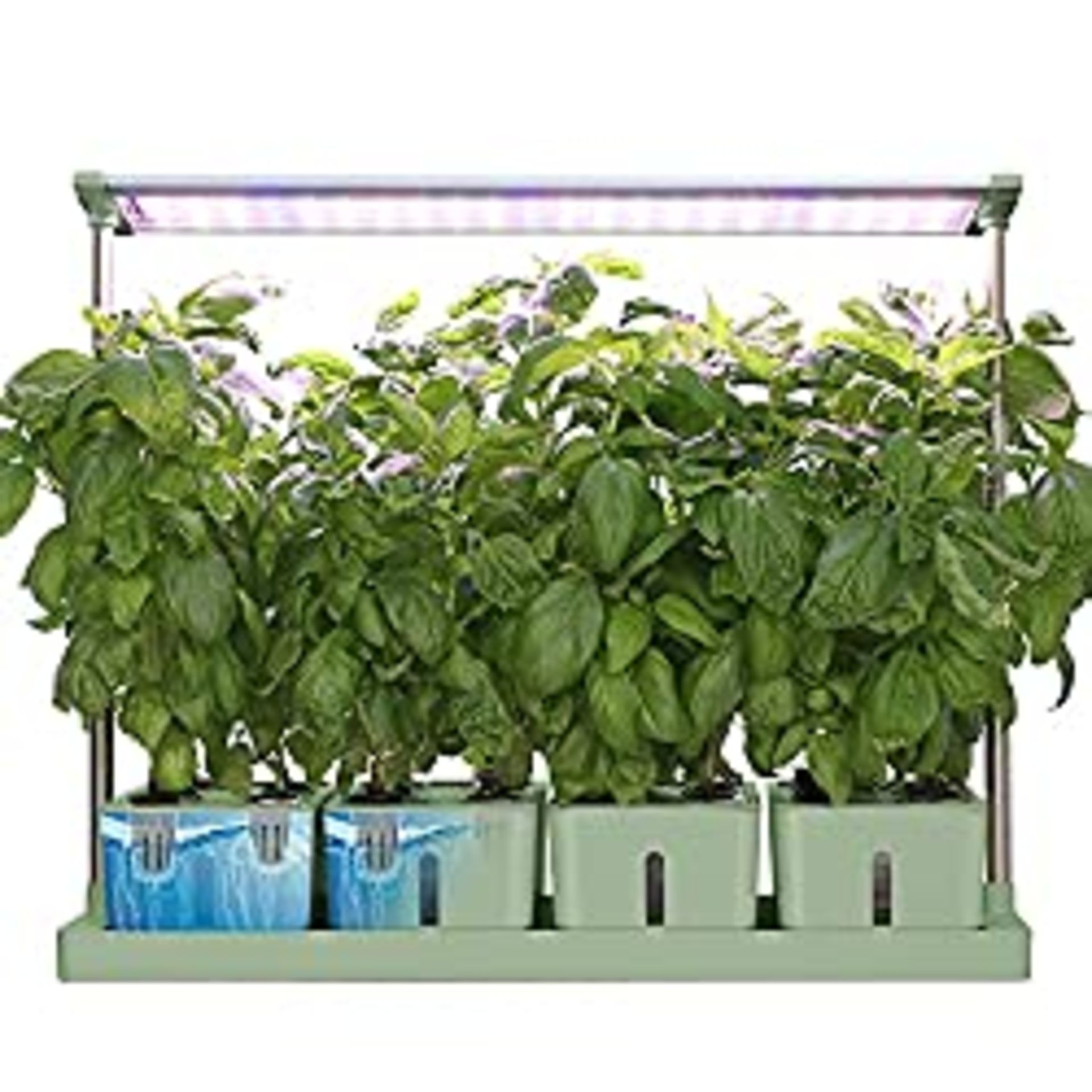 RRP £42.00 Moistenland 20 Pods Hydroponics Growing System