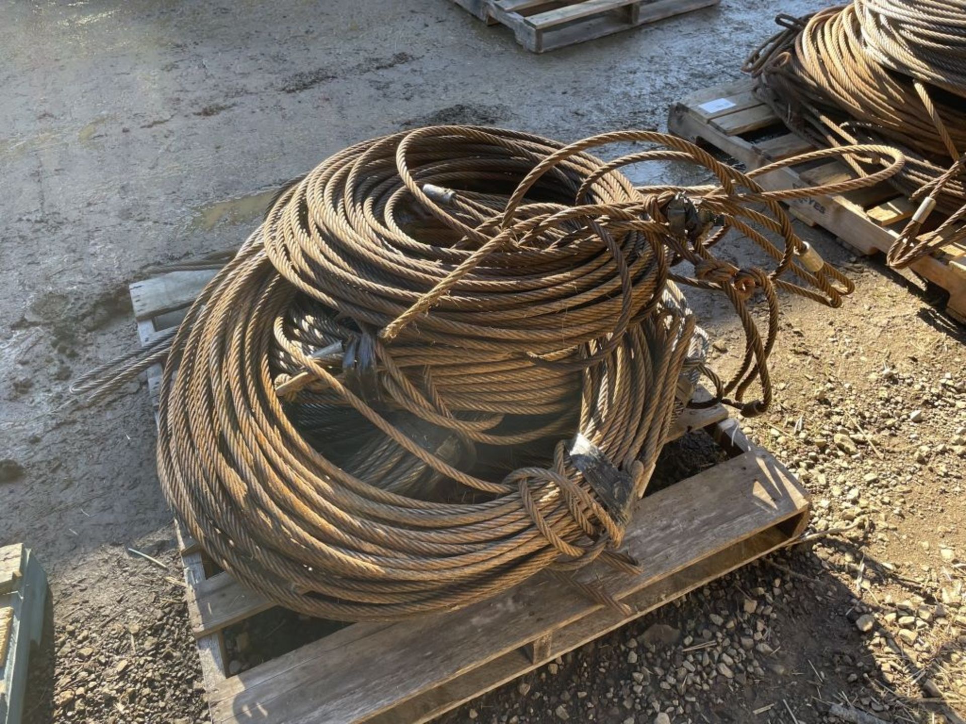 Hay Wire Coils - Image 2 of 3