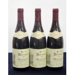 3 bts Pommard Trois Follots 2005 Prunier Damy hf, vsl bs