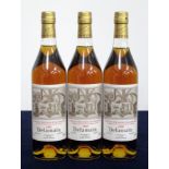 V 3 70-cl bts Delamain Grande Champagne Cognac 1995 landed 1997 bottled 2013